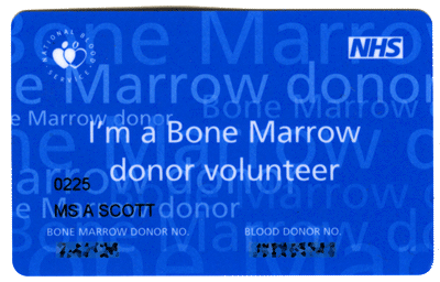 bone-marrow.gif